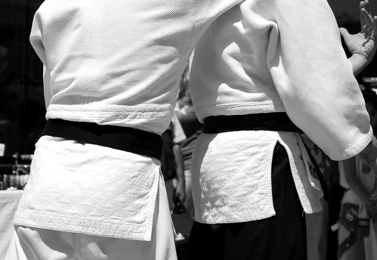img-polsantaviola-karate
